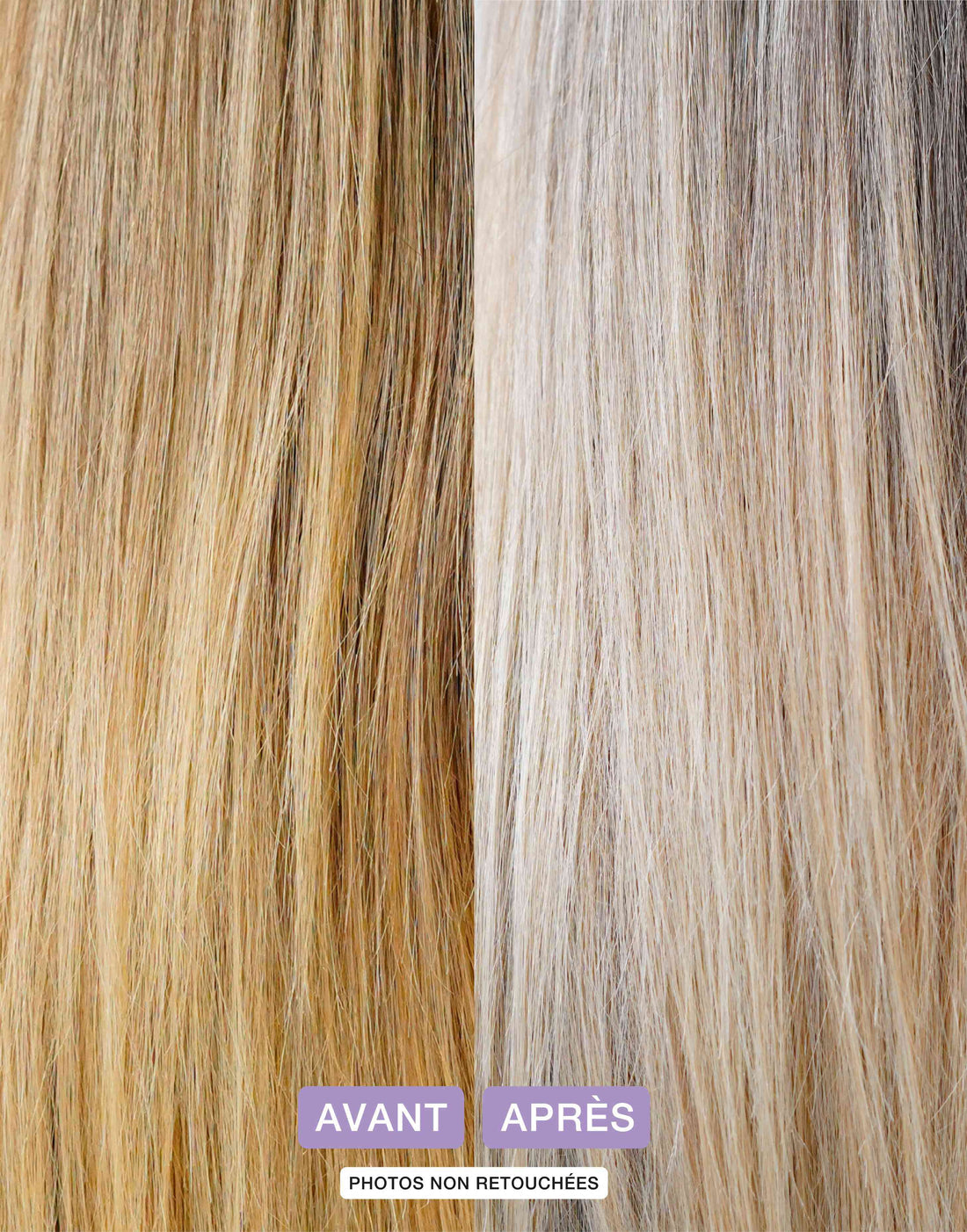 Solid Purple Shampoo