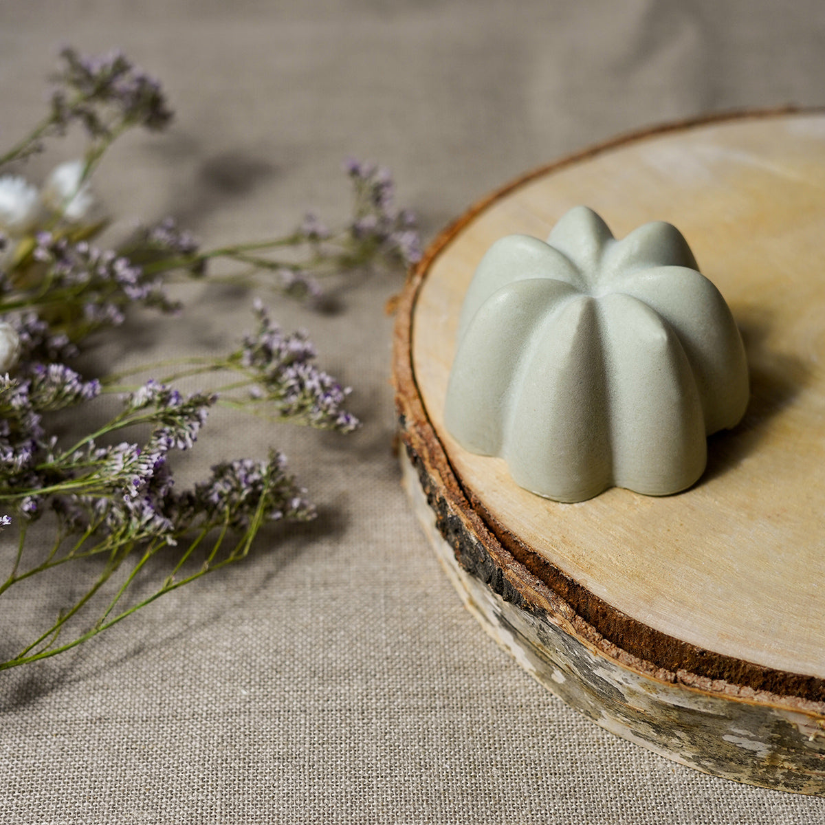 Rebalancing Solid Shampoo