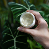 Noni Botanical Deodorant Cream